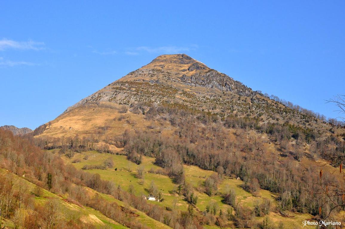 Gites Communaux A Lourdios Екстер'єр фото